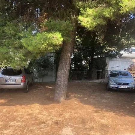 Bisera Biocic *